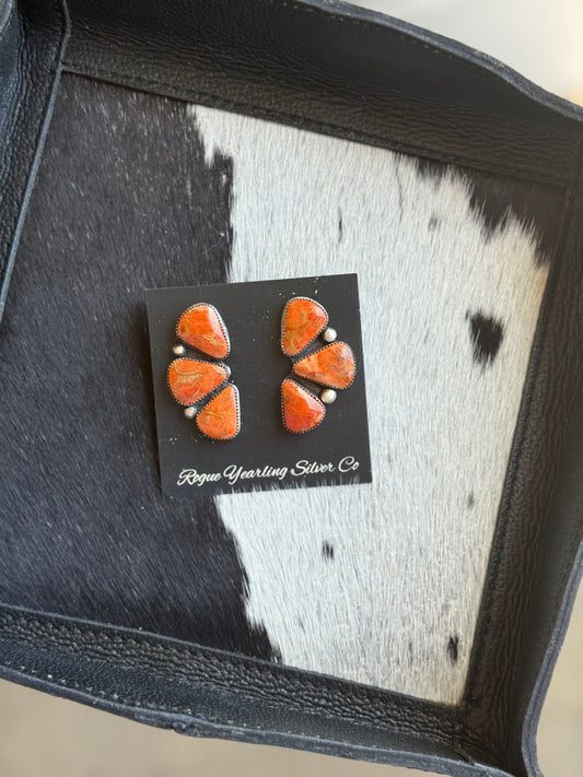 Apple Coral Clusters